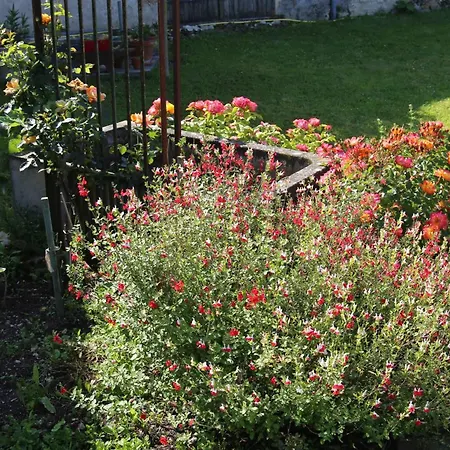 Le Maine Des Rois Juillac-le-Coq