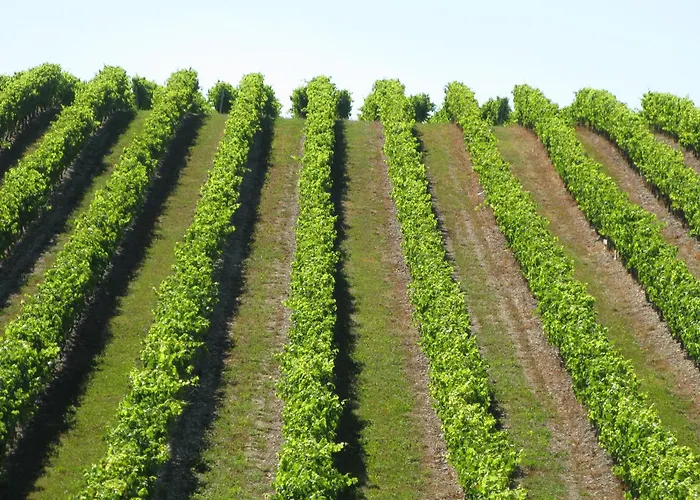 Semesterbostad Le Maine Des Rois *