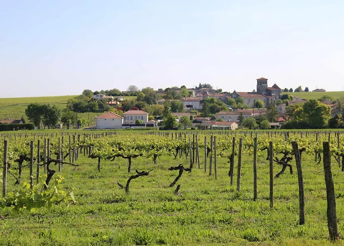 Le Maine Des Rois Semesterbostad Juillac-le-Coq