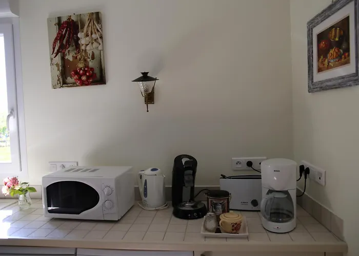 Semesterbostad Le Maine Des Rois *