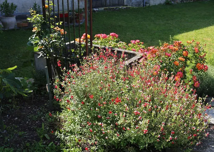 Le Maine Des Rois Juillac-le-Coq