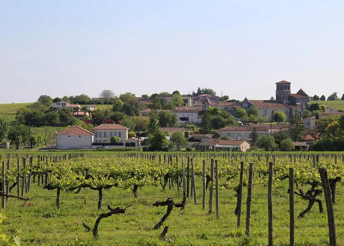 Le Maine Des Rois Semesterbostad Juillac-le-Coq